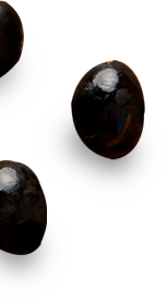 jamun