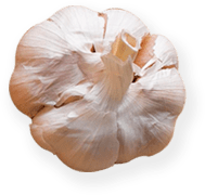 onion